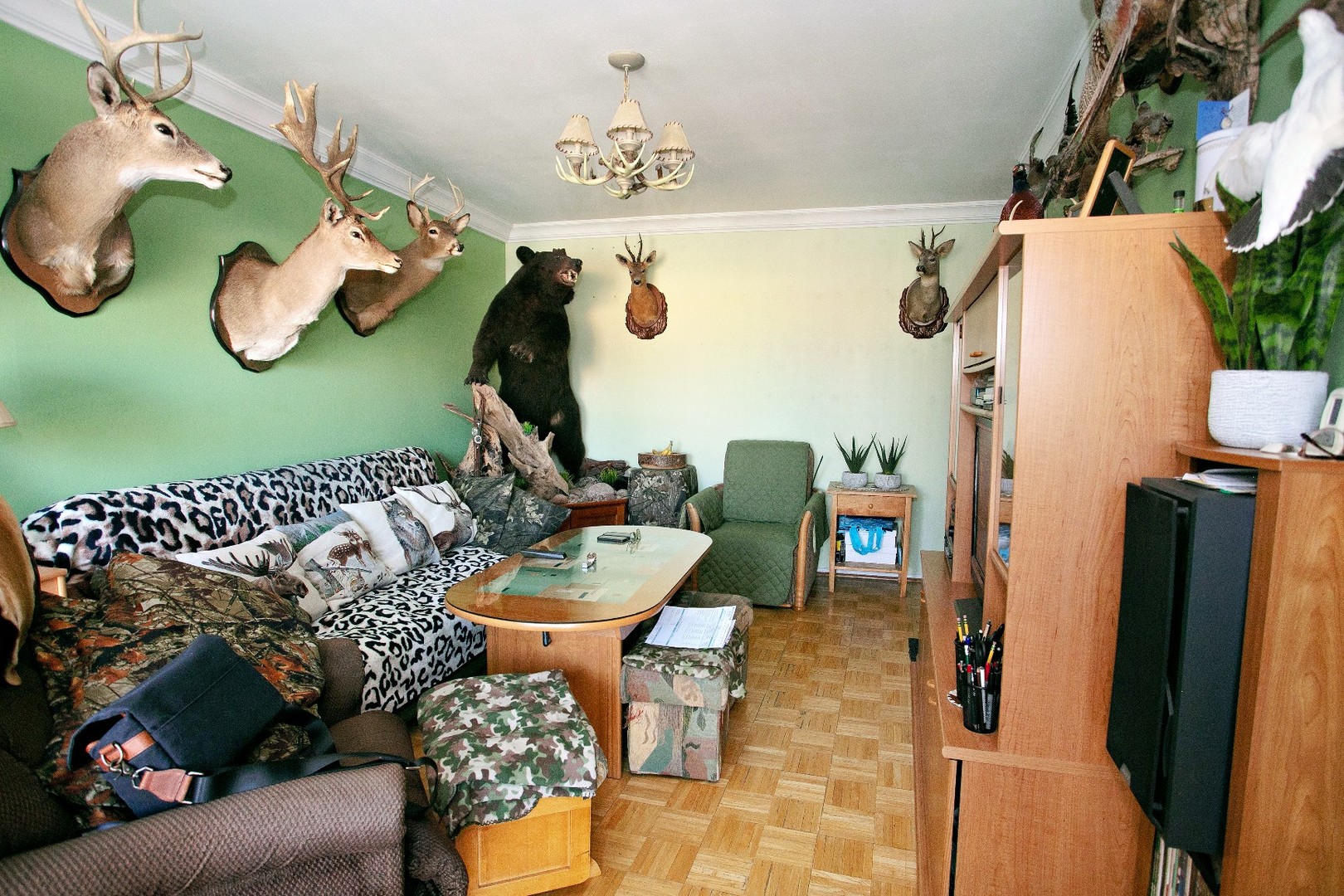 9717 S Keeler Avenue #209, Oak Lawn, IL 60453