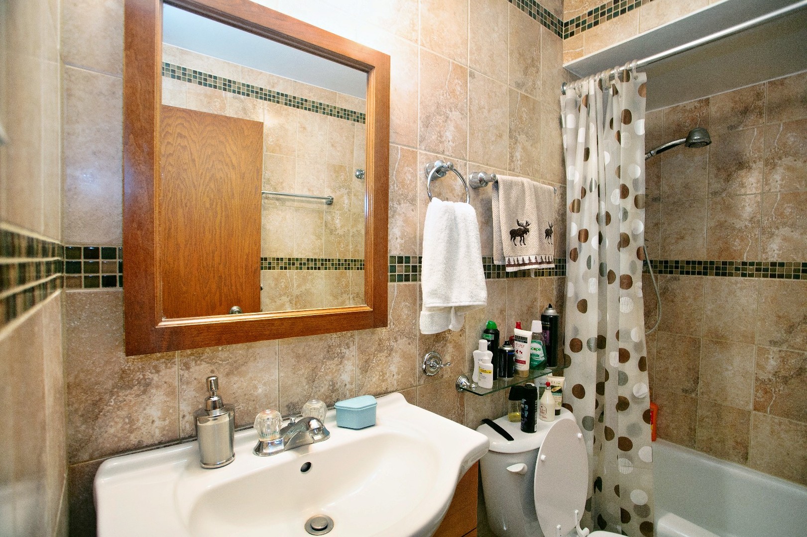 9717 S Keeler Avenue #209, Oak Lawn, IL 60453