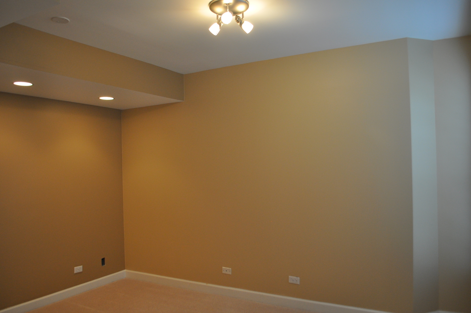 452 E Amherst Street, Palatine, IL 60067