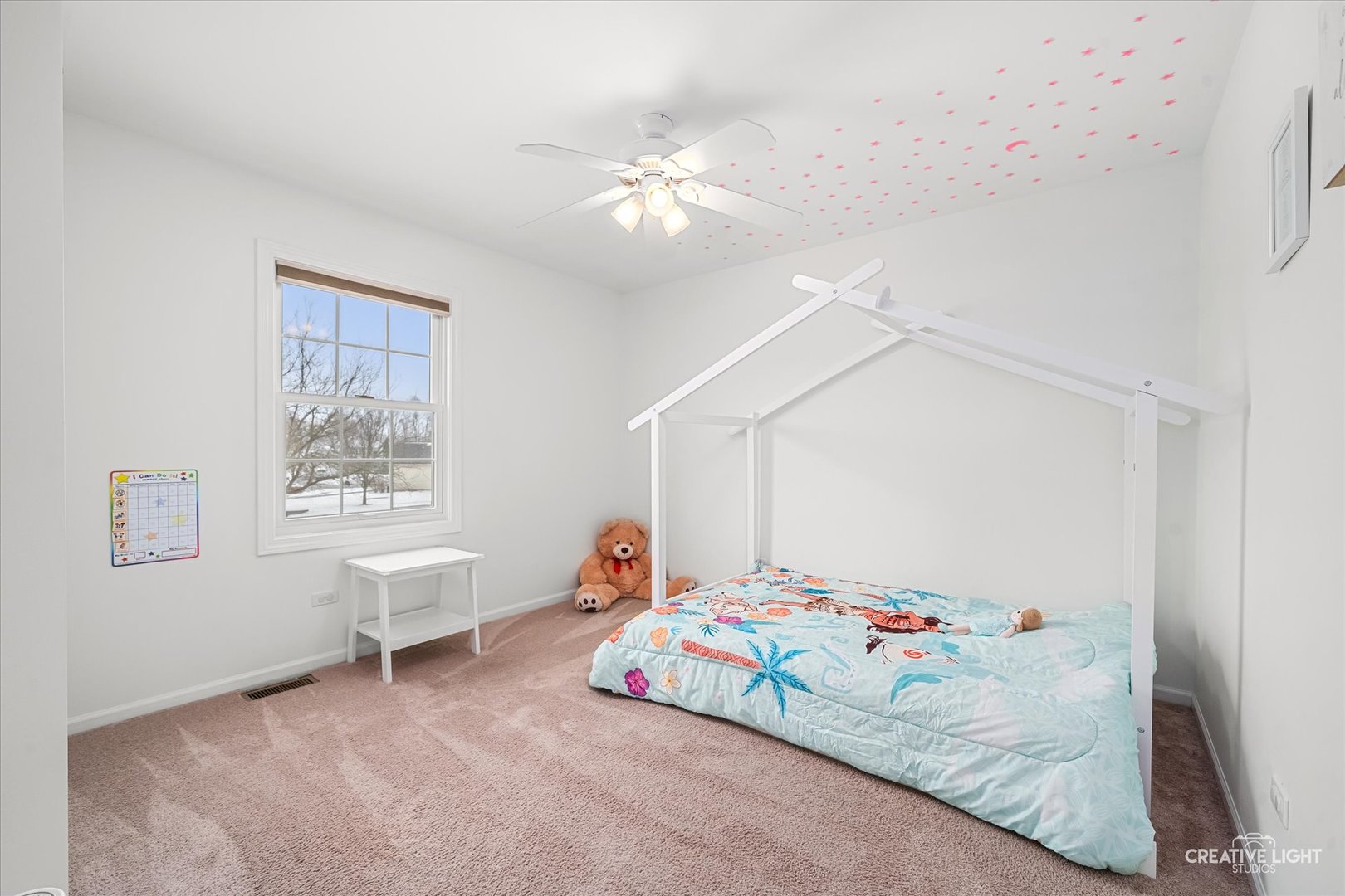 1811 Brockway Pond Court, Joliet, IL 60431