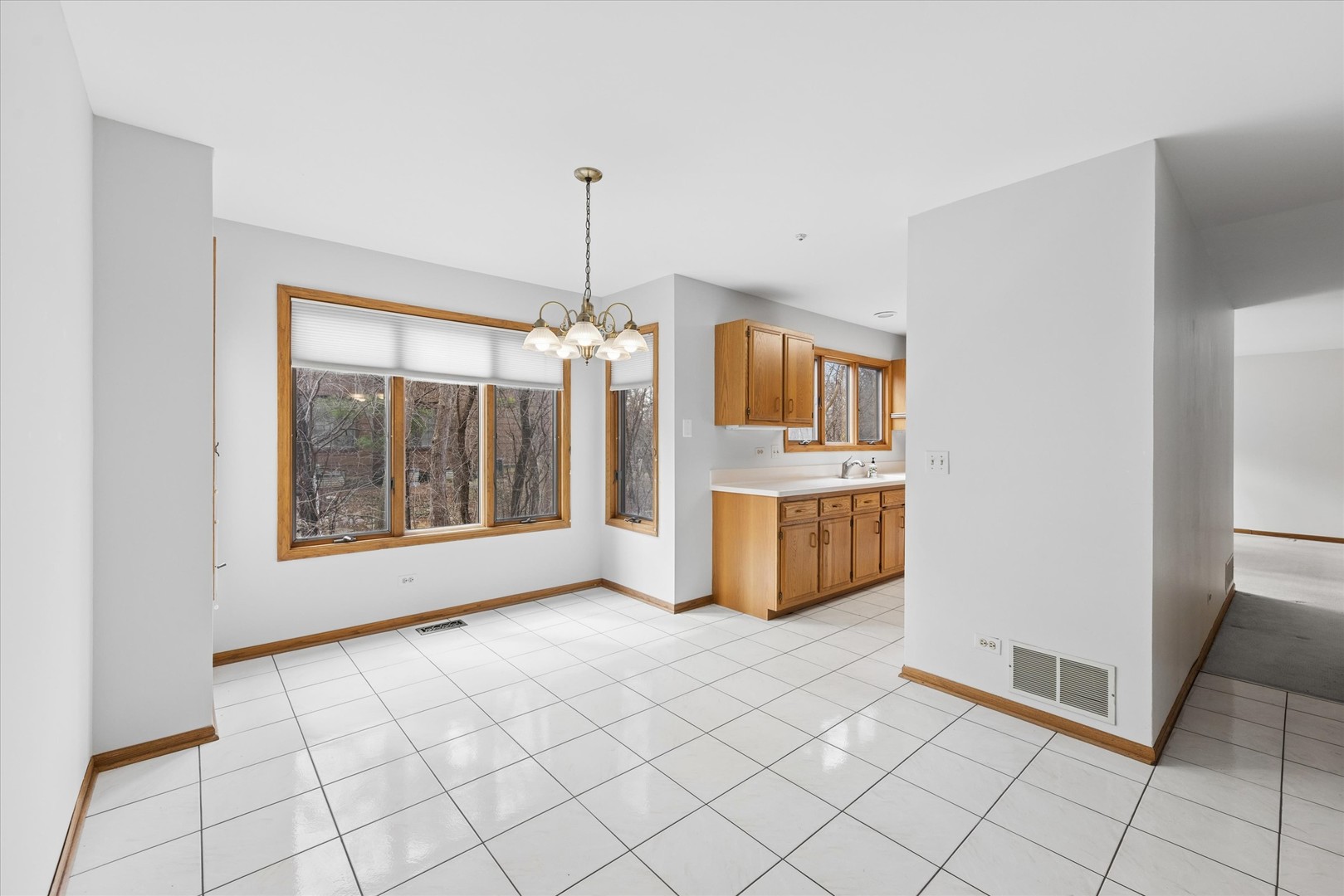 1125 Foxtail Court, Darien, IL 60561