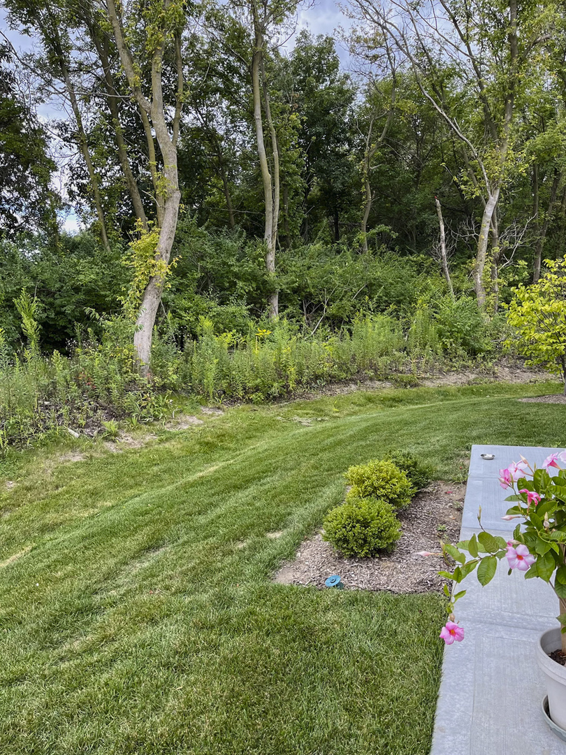 1175 Sonoma Court, Pingree Grove, IL 60140