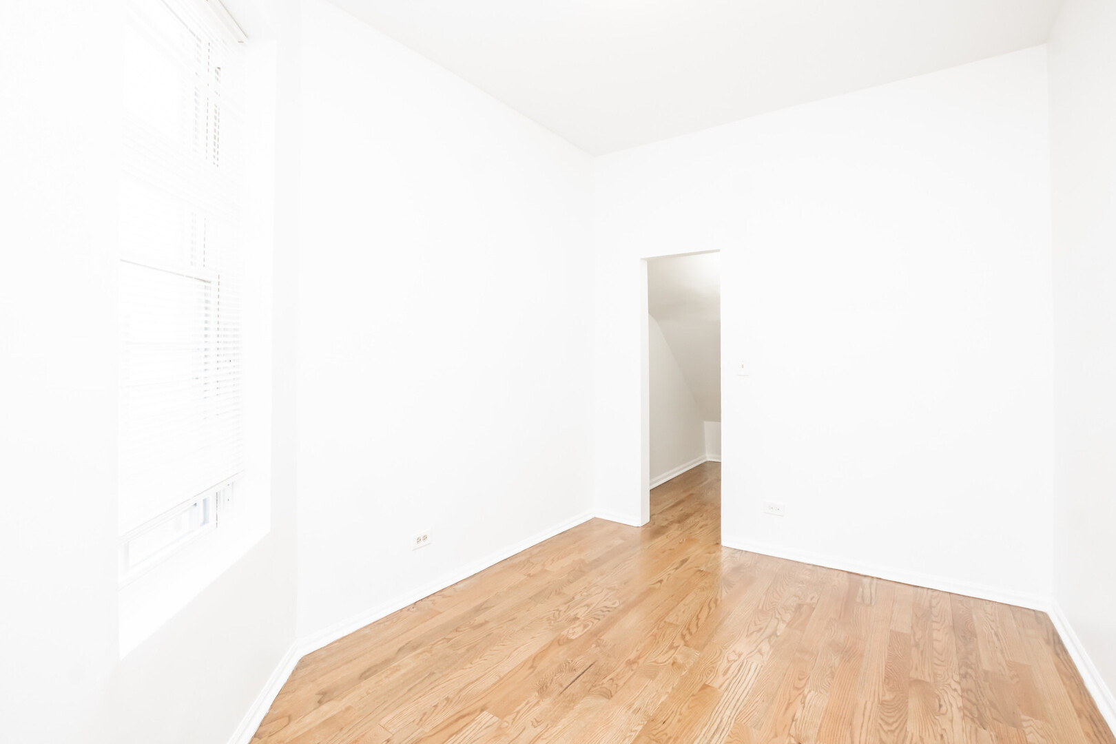 1306 S Central Park Avenue, Chicago, IL 60623