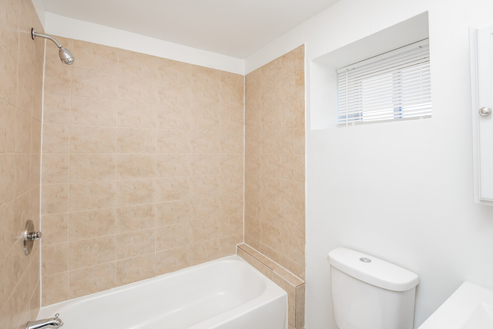 1306 S Central Park Avenue, Chicago, IL 60623