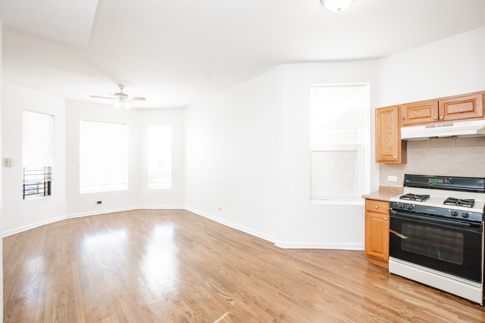 1306 S Central Park Avenue, Chicago, IL 60623