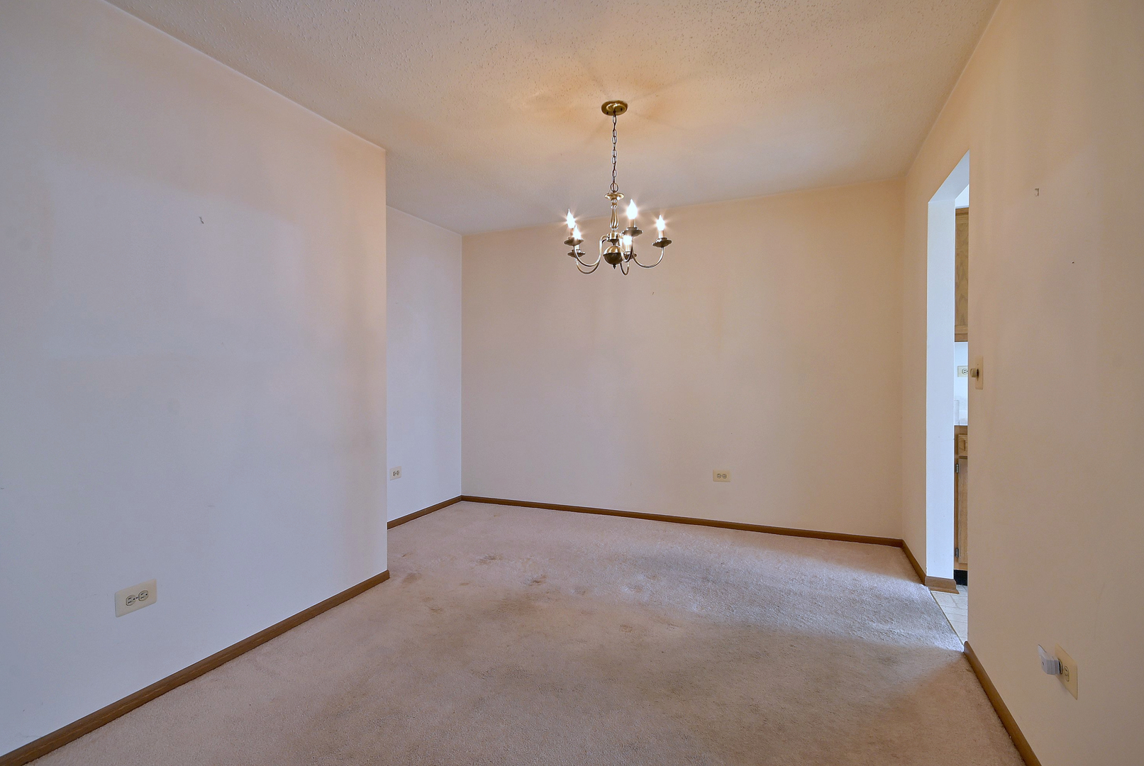 665 Catherine Court #665, Wood Dale, IL 60191