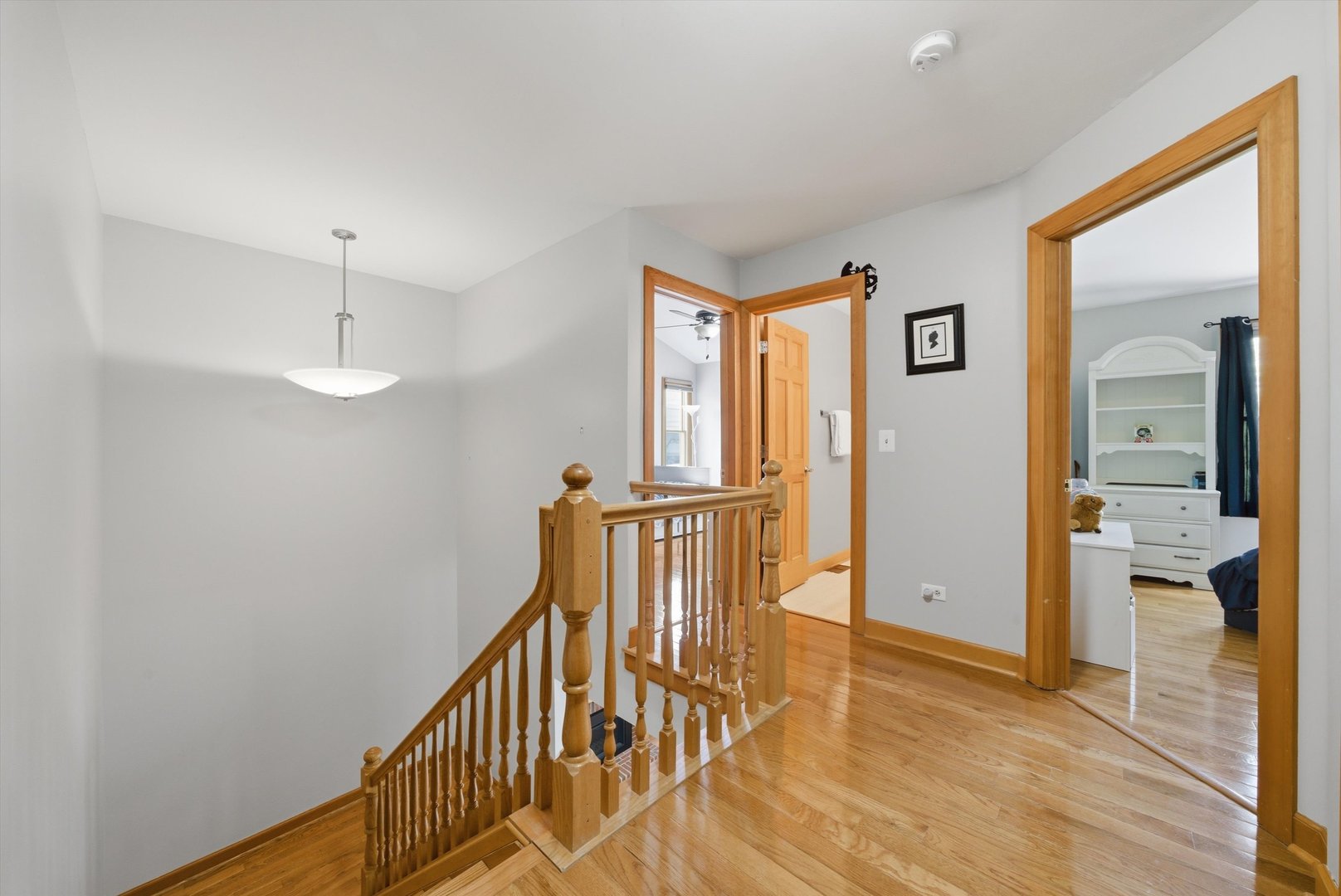 1030 Mount Vernon Drive, Grayslake, IL 60030