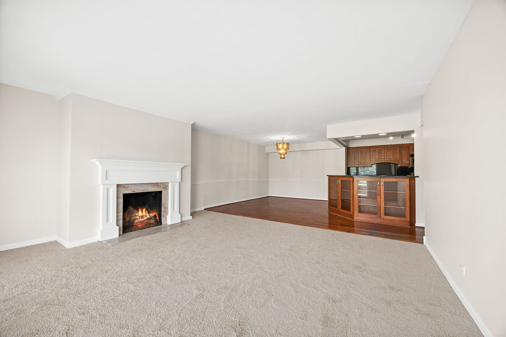 124 Carriage Way Drive #B109, Burr Ridge, IL 60527