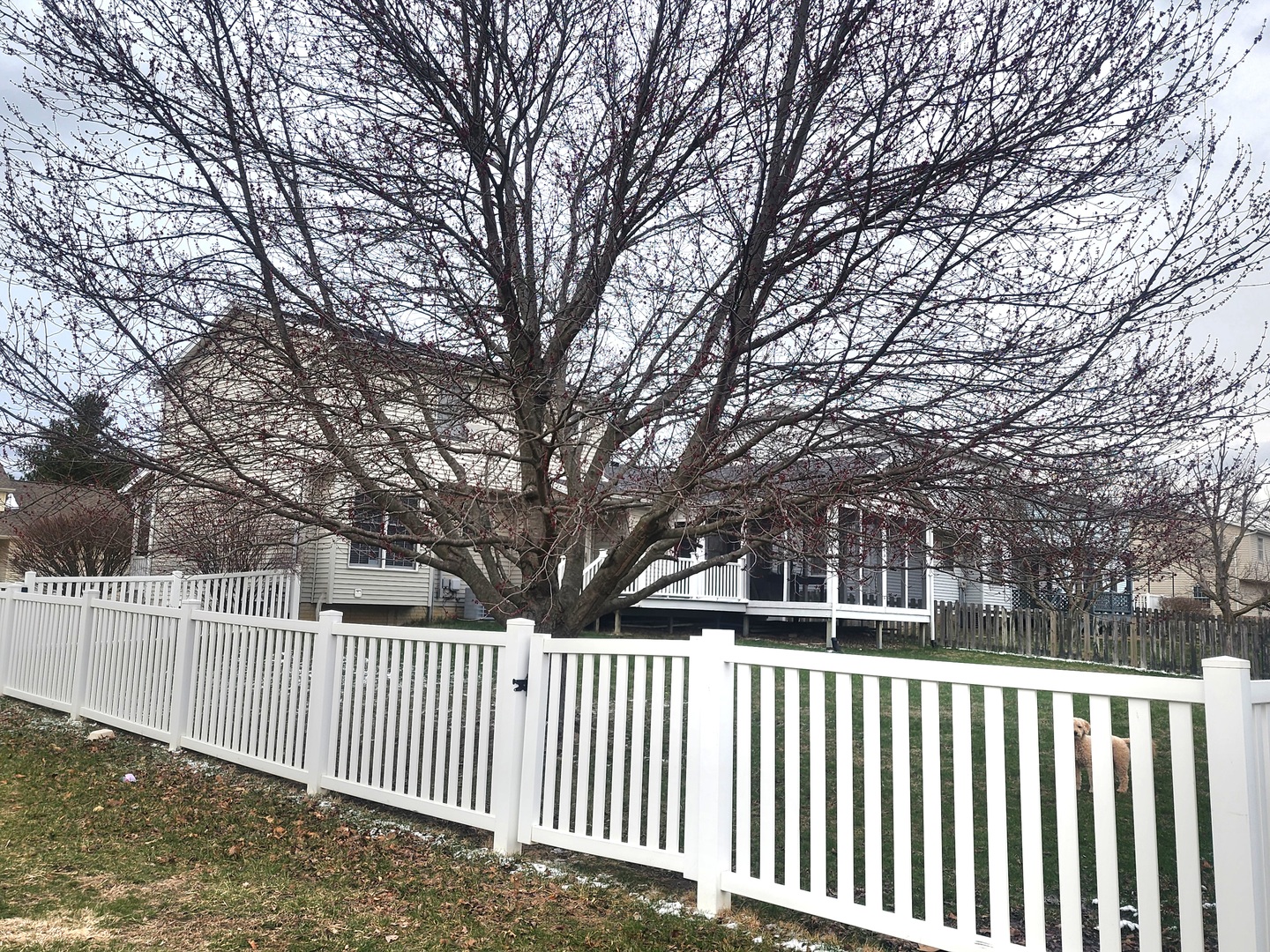 1615 Fairfield Drive, Normal, IL 61761