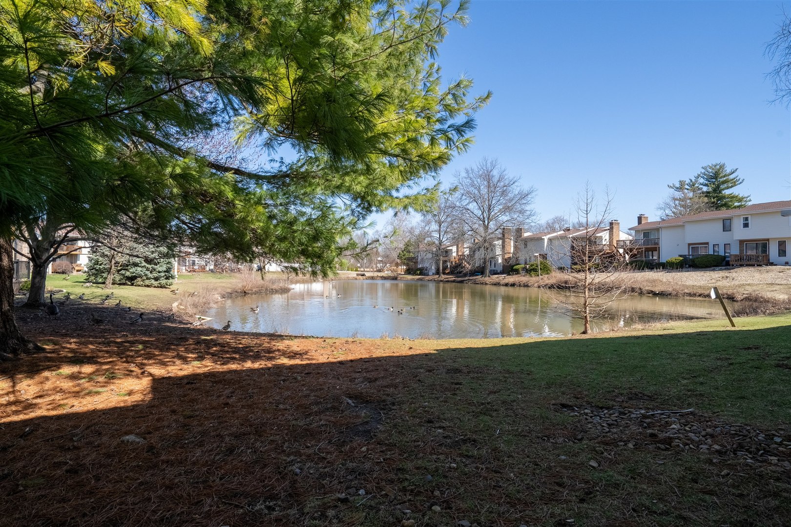 903 N Linden Street #108, Normal, IL 61761