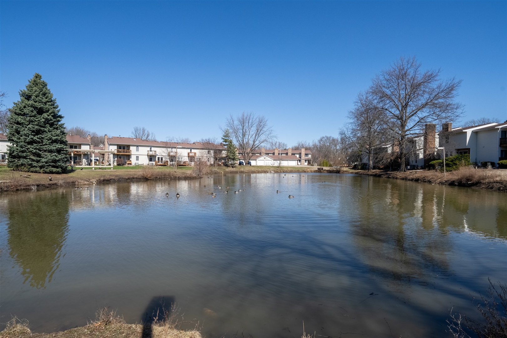 903 N Linden Street #108, Normal, IL 61761