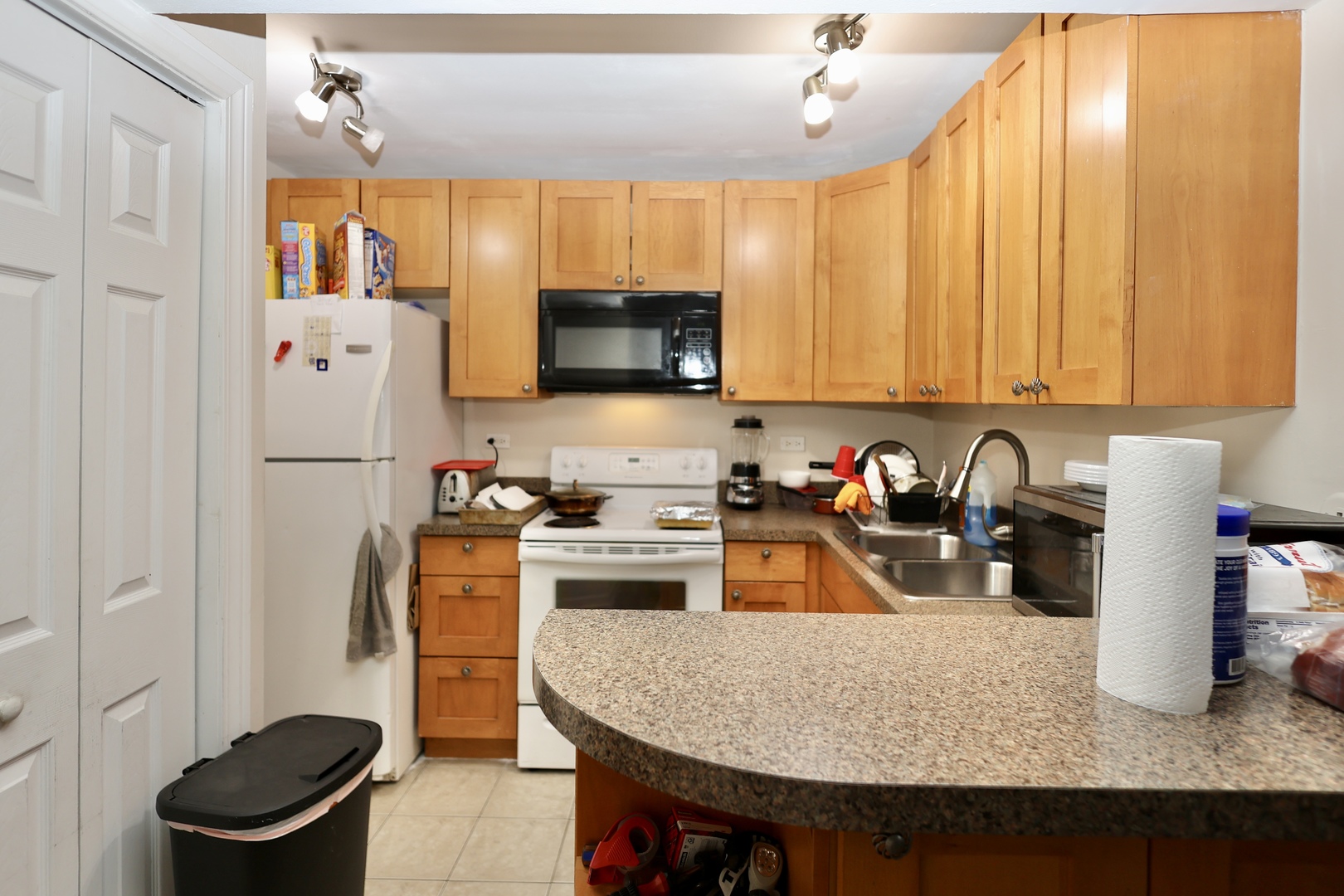 10111 Old Orchard Court #101, Skokie, IL 60076