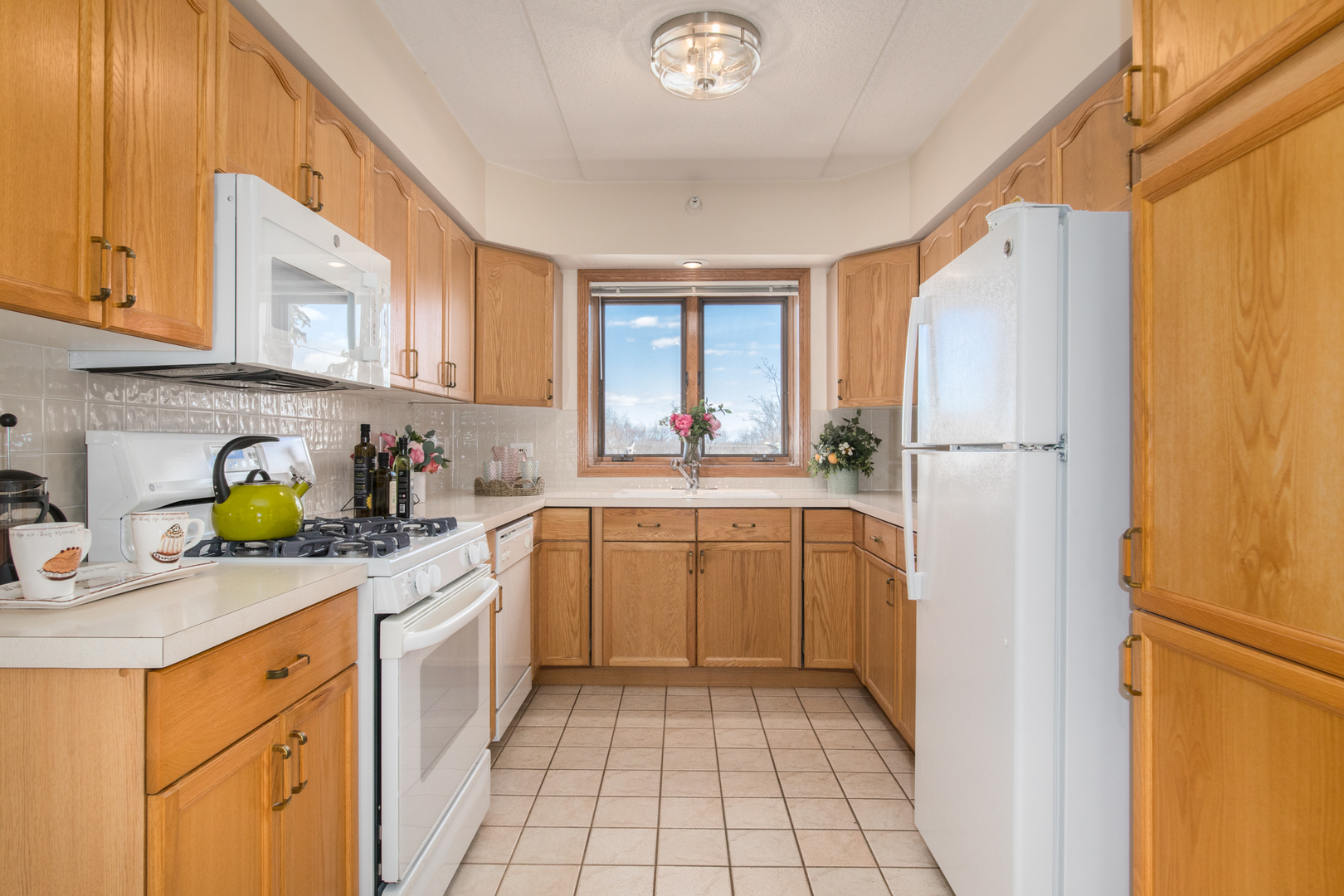 1636 Ashland Avenue #402, Des Plaines, IL 60016