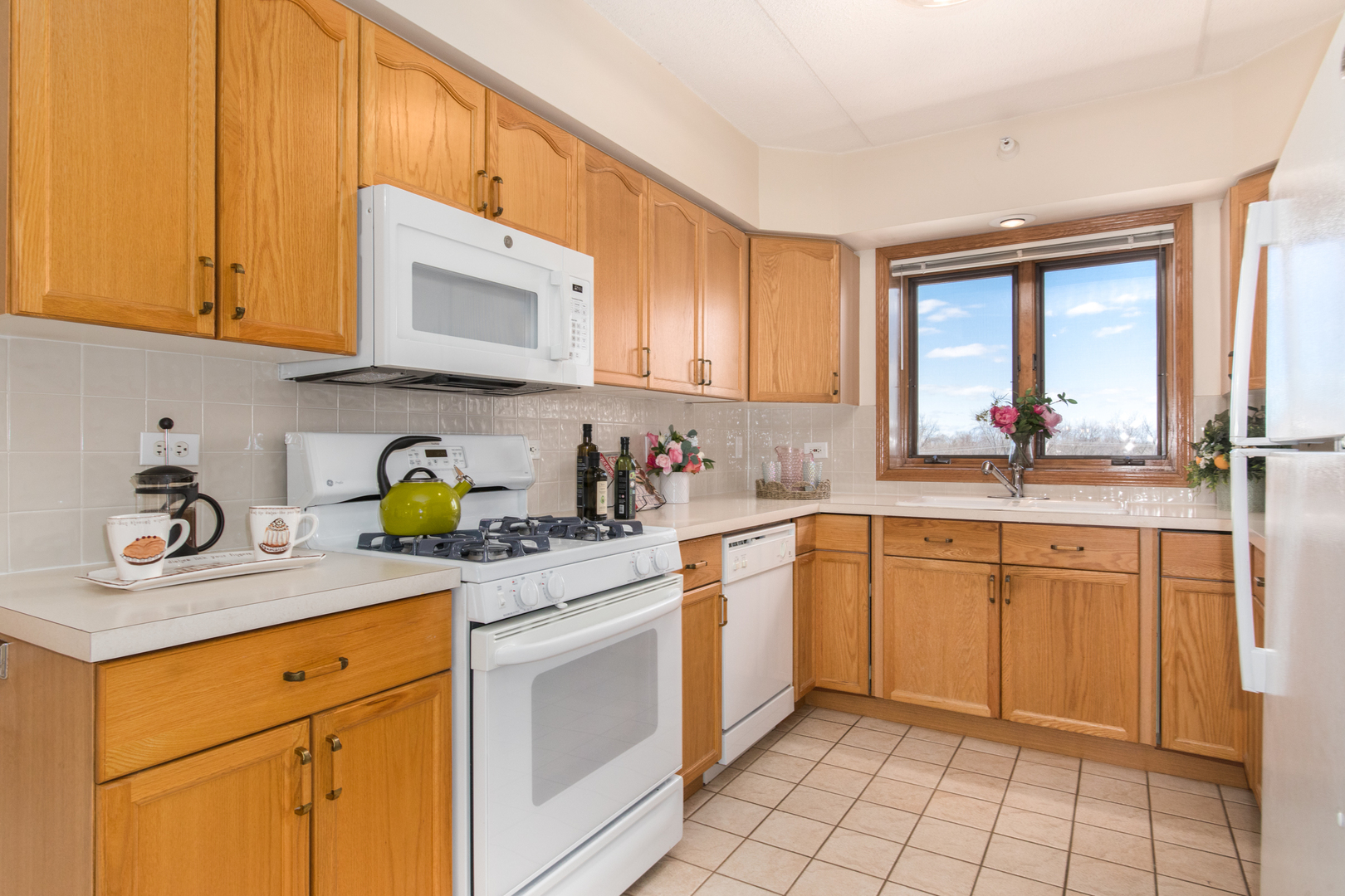 1636 Ashland Avenue #402, Des Plaines, IL 60016