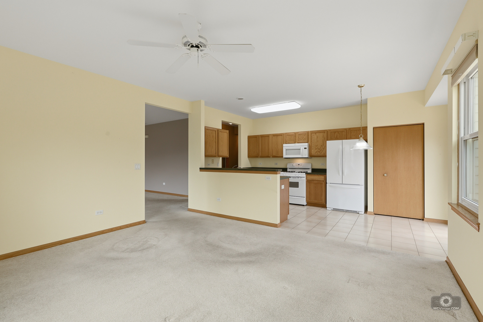 21011 W Torrey Pines Court, Plainfield, IL 60544