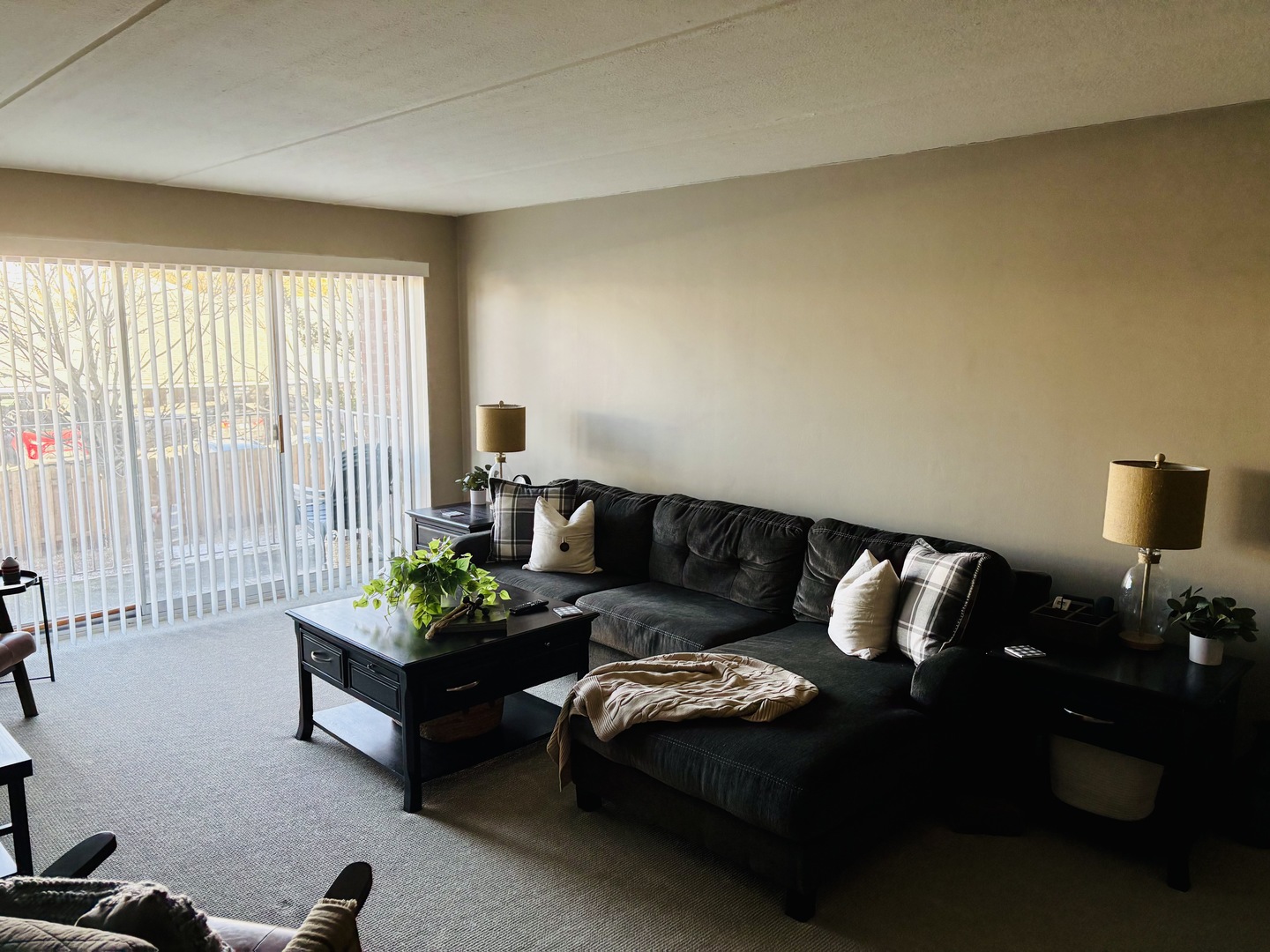 5125 Blodgett Avenue #213, Downers Grove, IL 60515