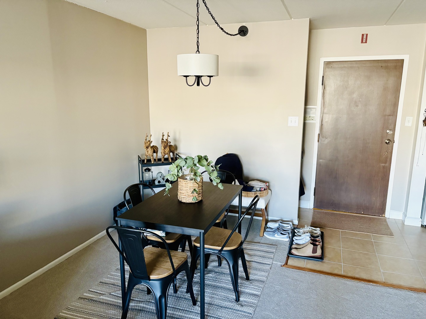 5125 Blodgett Avenue #213, Downers Grove, IL 60515