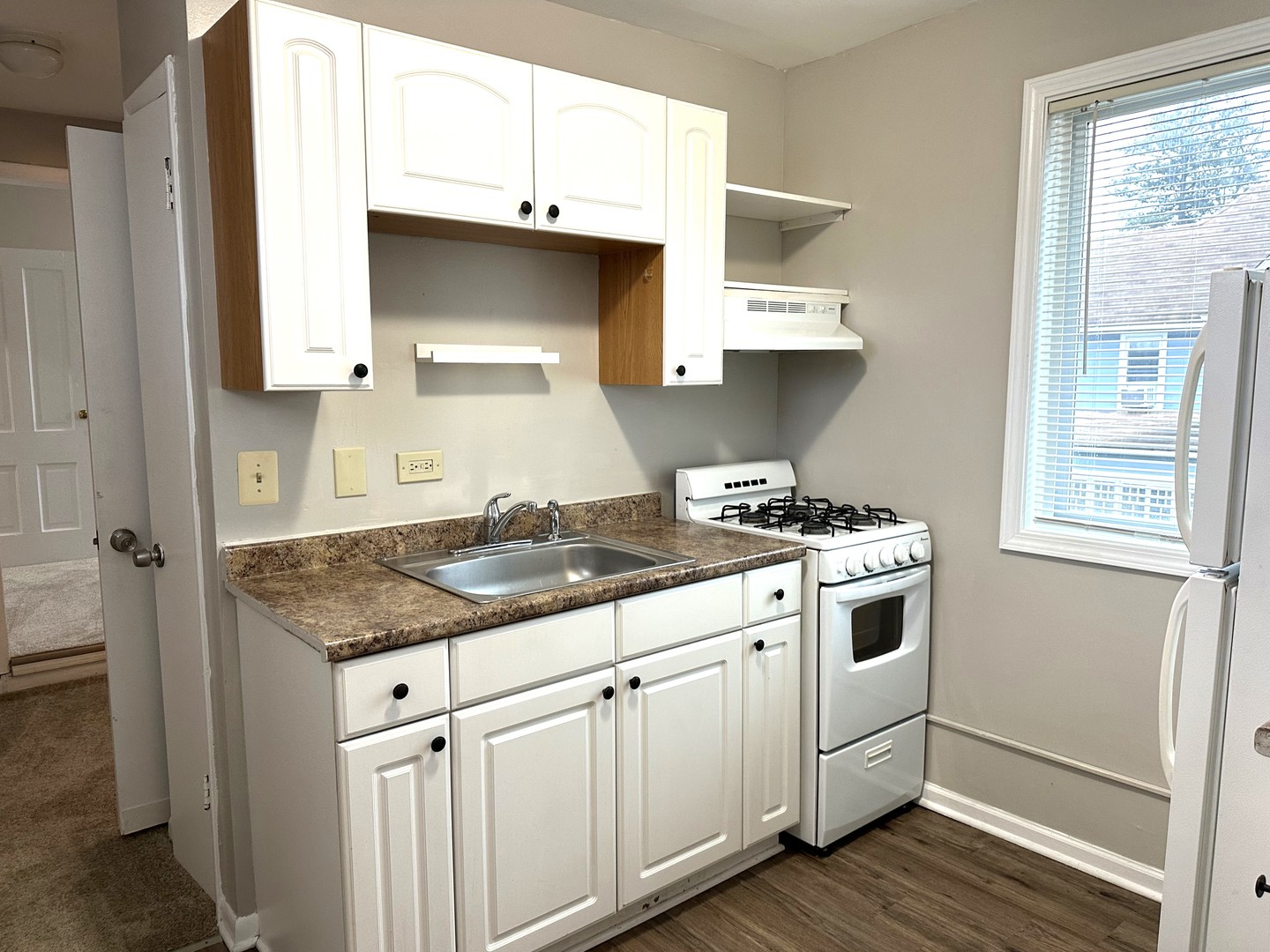 441 Addison Street #4, Elgin, IL 60120