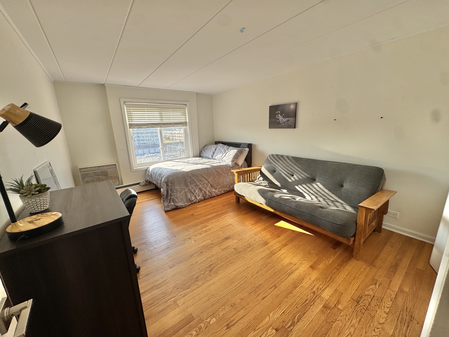 18 E Old Willow Road #522N, Prospect Heights, IL 60070