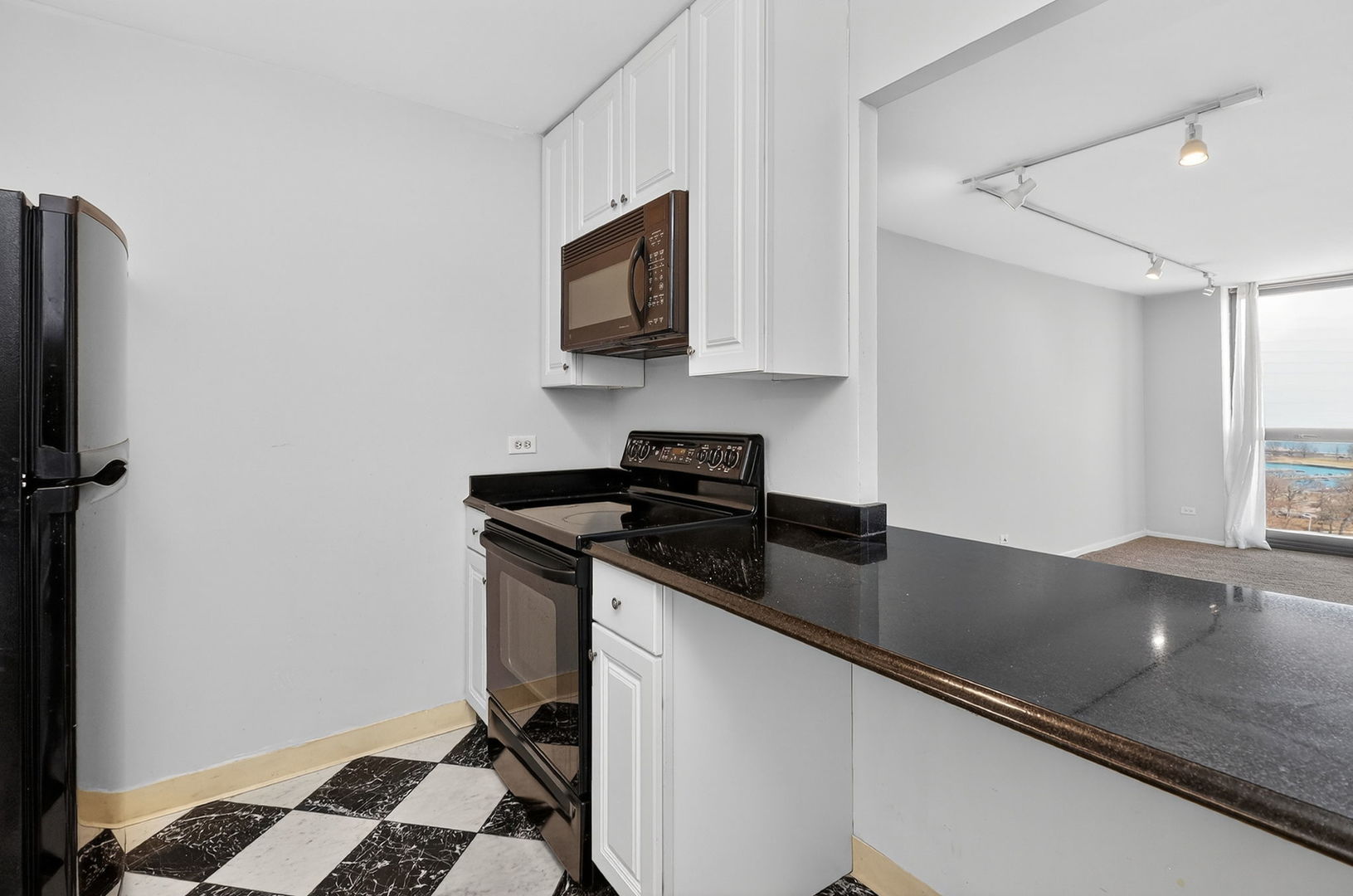 2500 N Lakeview Avenue #1304, Chicago, IL 60614