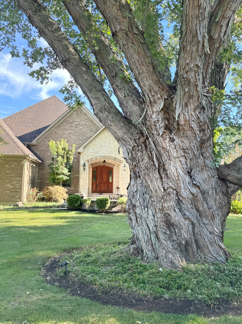 114 Riverview Court, Oswego, IL 60543