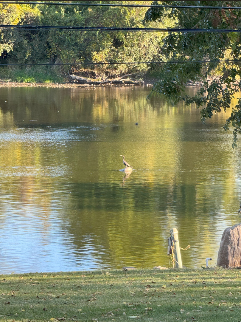 114 Riverview Court, Oswego, IL 60543