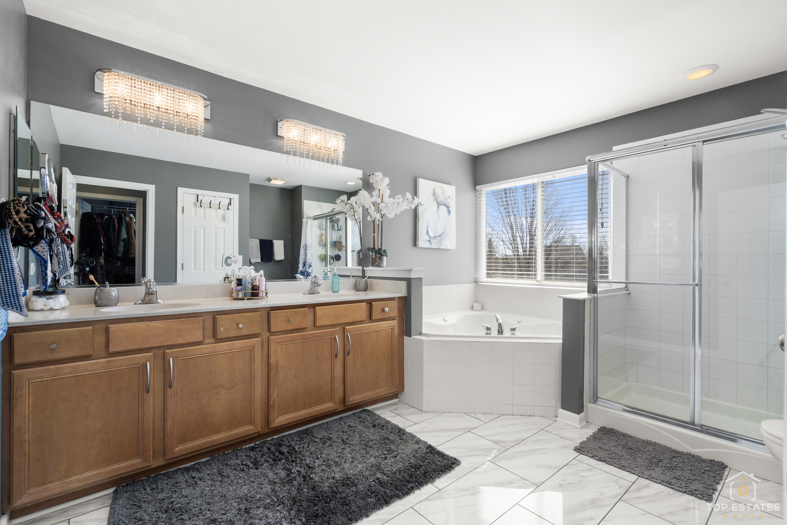 25267 Trelliage Avenue, Plainfield, IL 60585