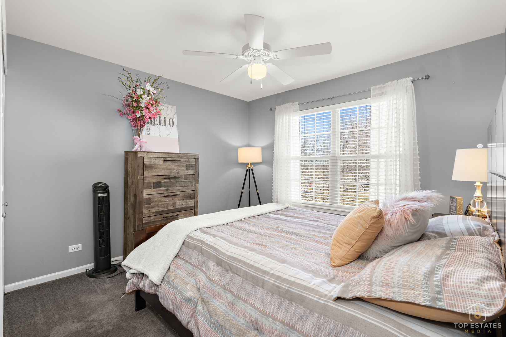 25267 Trelliage Avenue, Plainfield, IL 60585