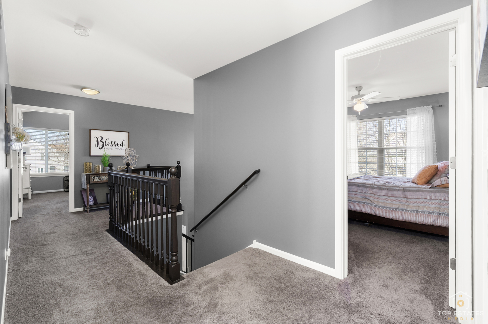 25267 Trelliage Avenue, Plainfield, IL 60585