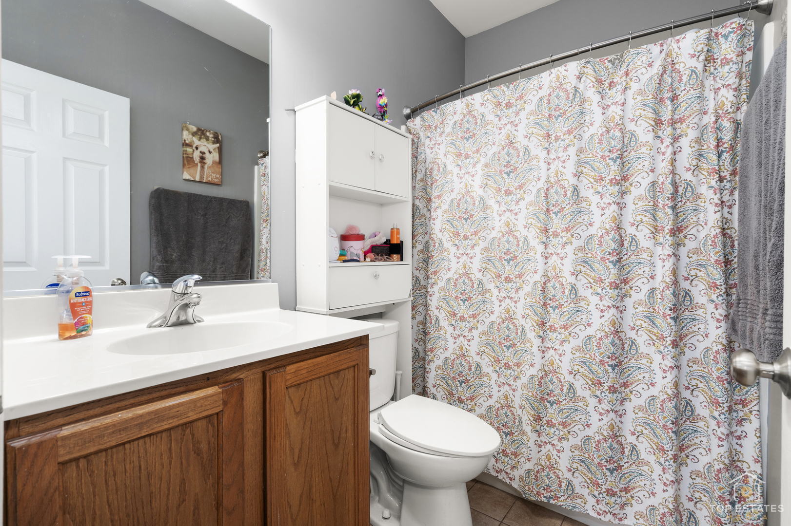 25267 Trelliage Avenue, Plainfield, IL 60585