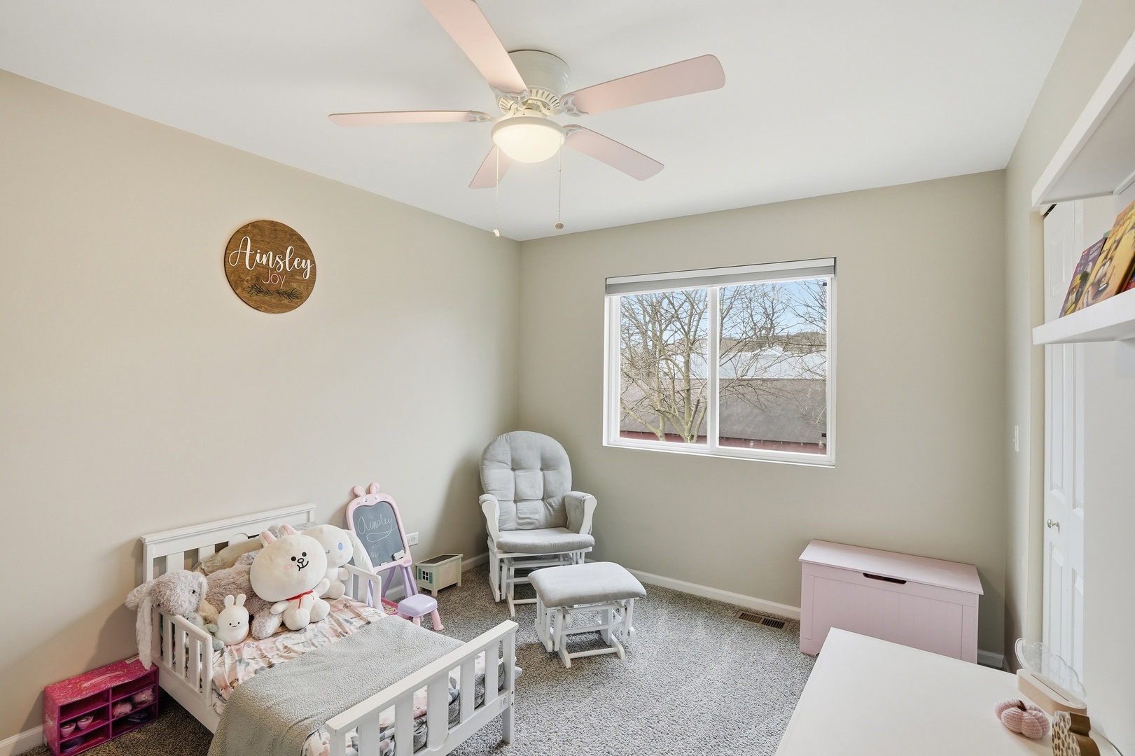 1111 Canyon View Lane, Joliet, IL 60432