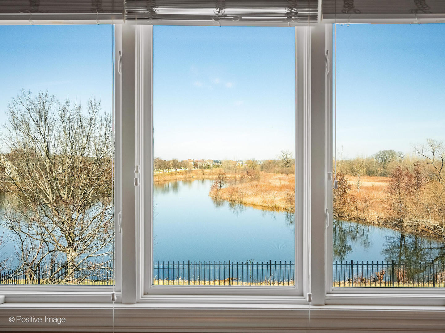 25704 Pastoral Drive, Plainfield, IL 60585