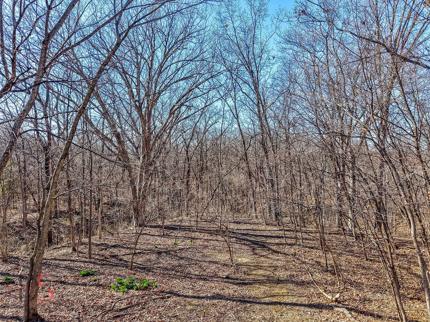 Marseilles, IL 61341