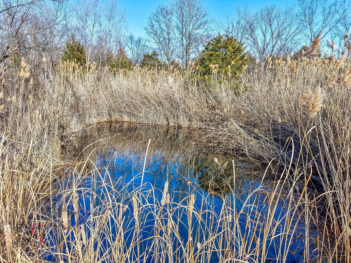 Marseilles, IL 61341