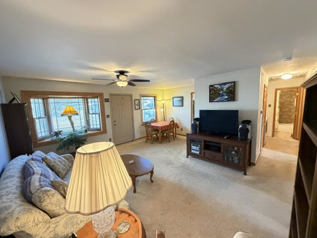 111 Cedar Circle, Streamwood, IL 60107