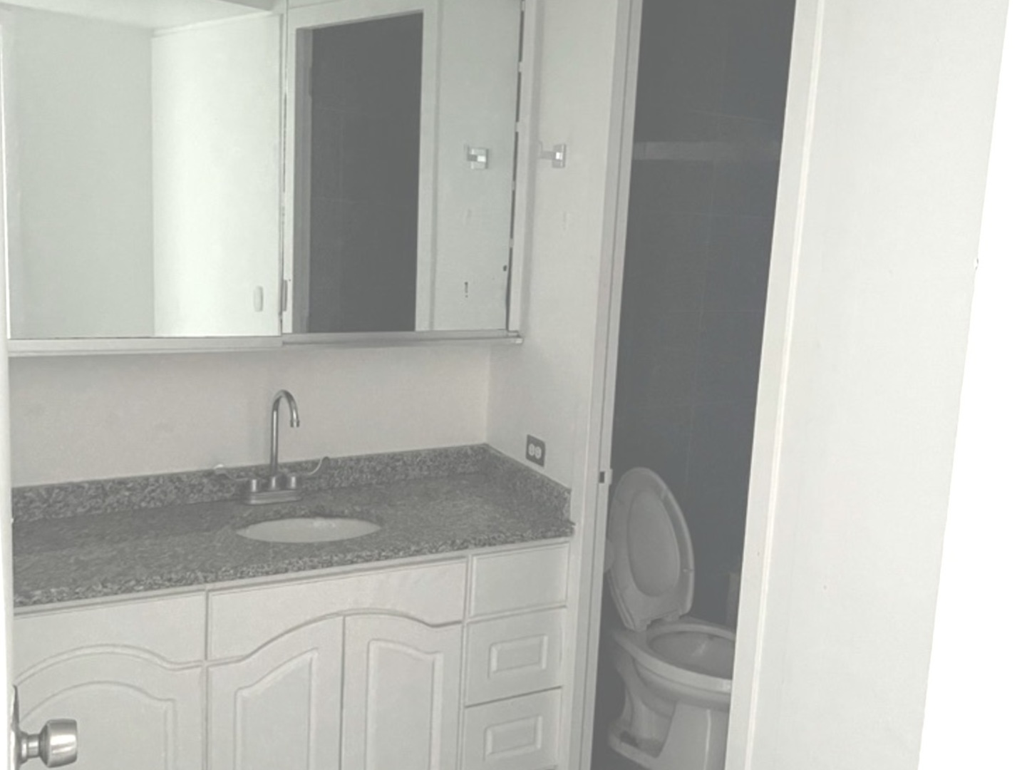 300 N STATE Street #5008, Chicago, IL 60654