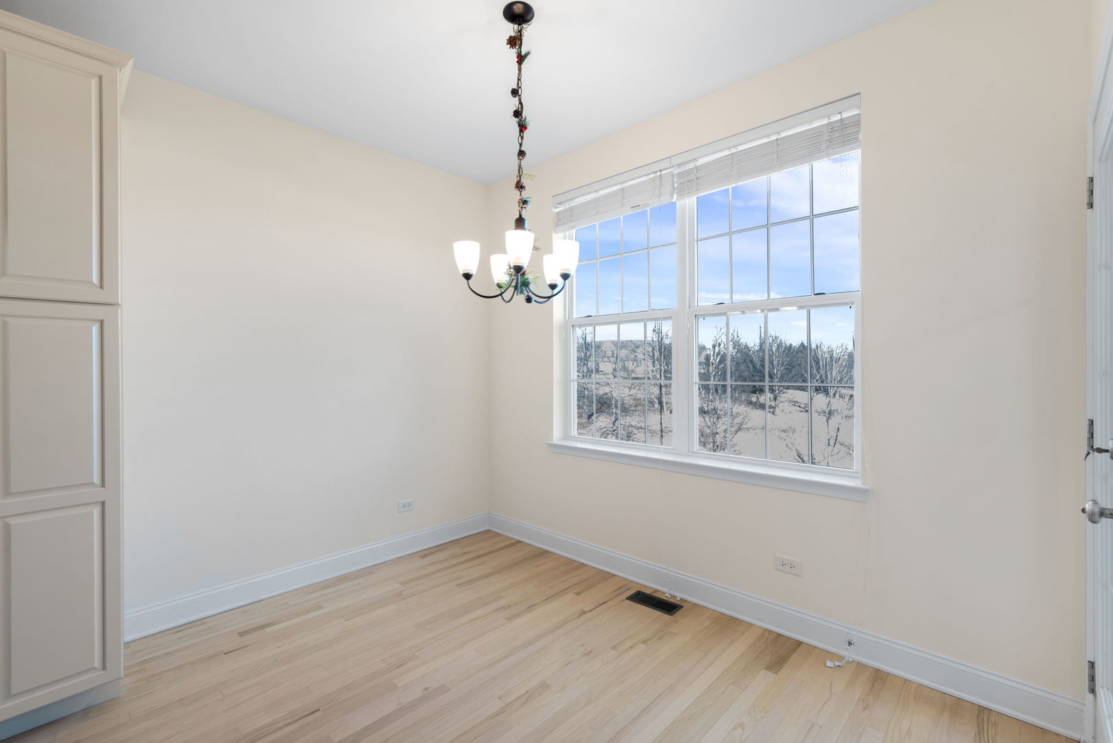 1159 Falcon Ridge Drive, Elgin, IL 60124