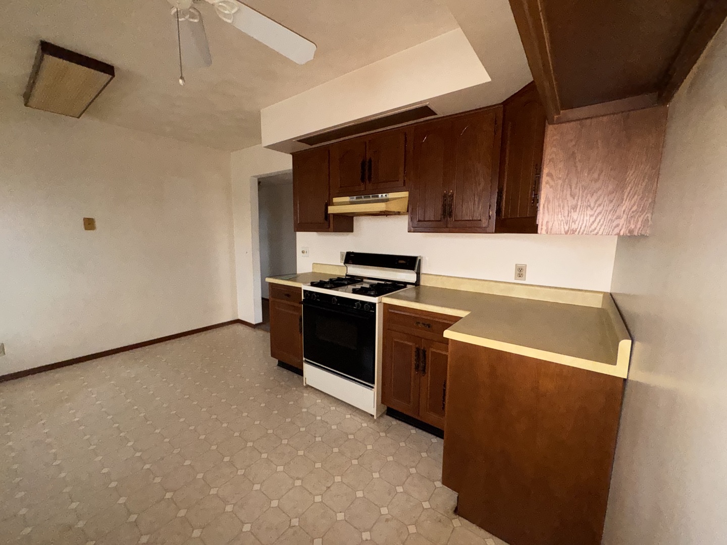 1108 N 1st Avenue, Canton, IL 61520