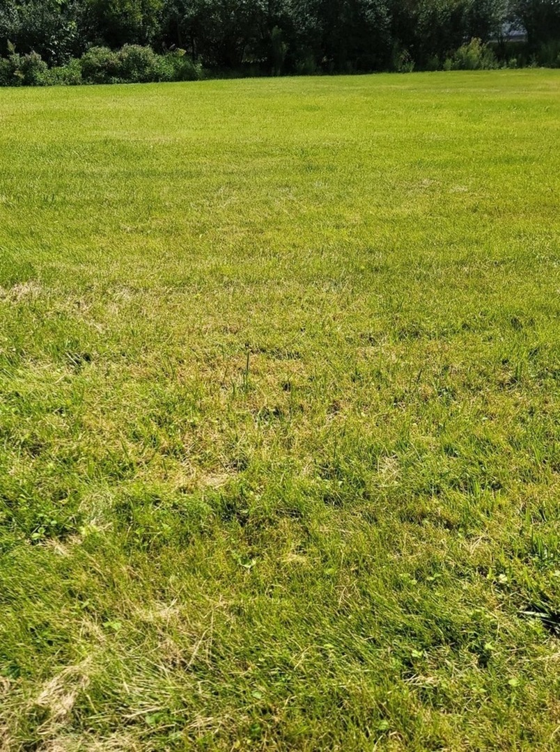 659 E Maple Avenue, Mundelein, IL 60060