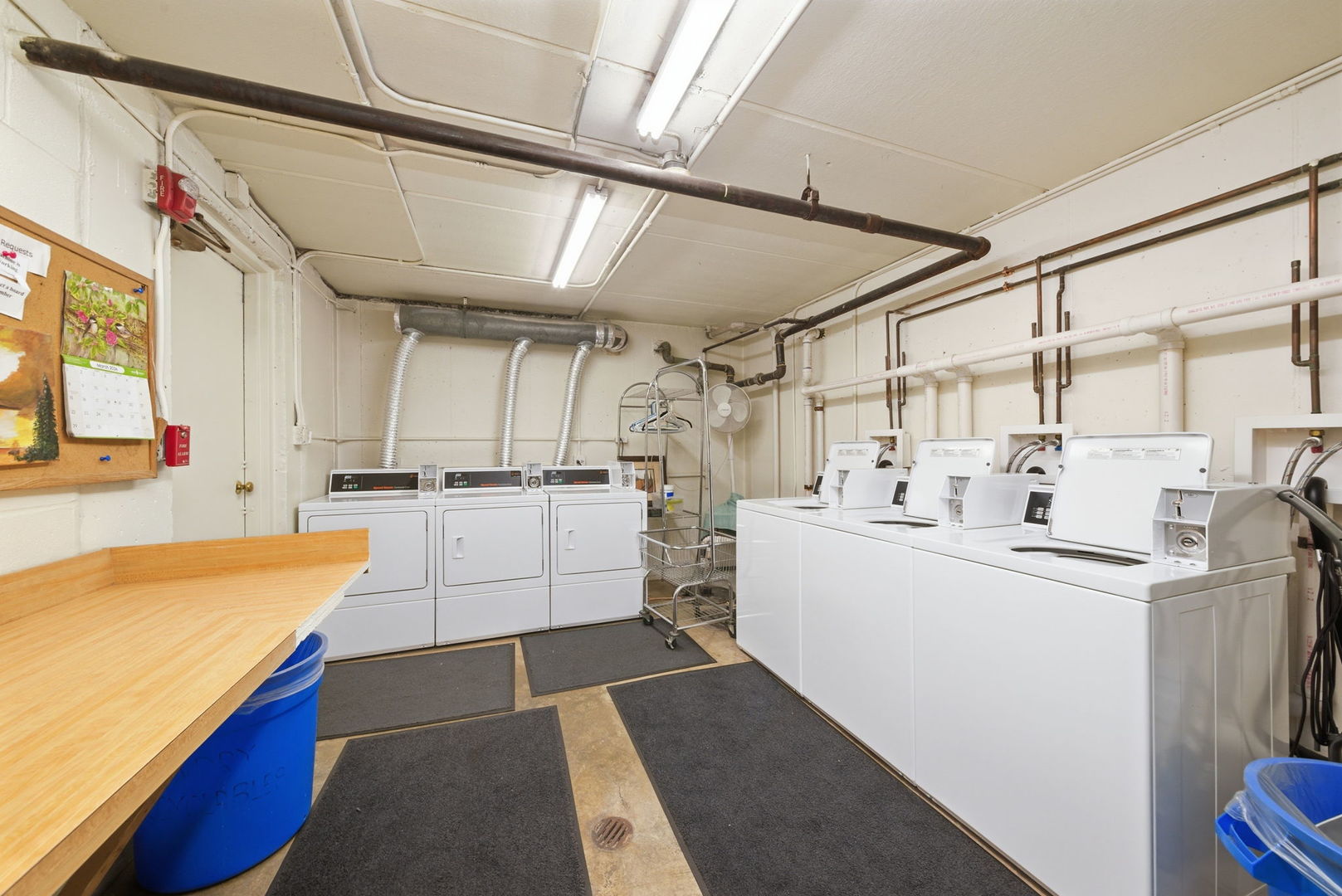 483 N Larch Avenue #204W, Elmhurst, IL 60126