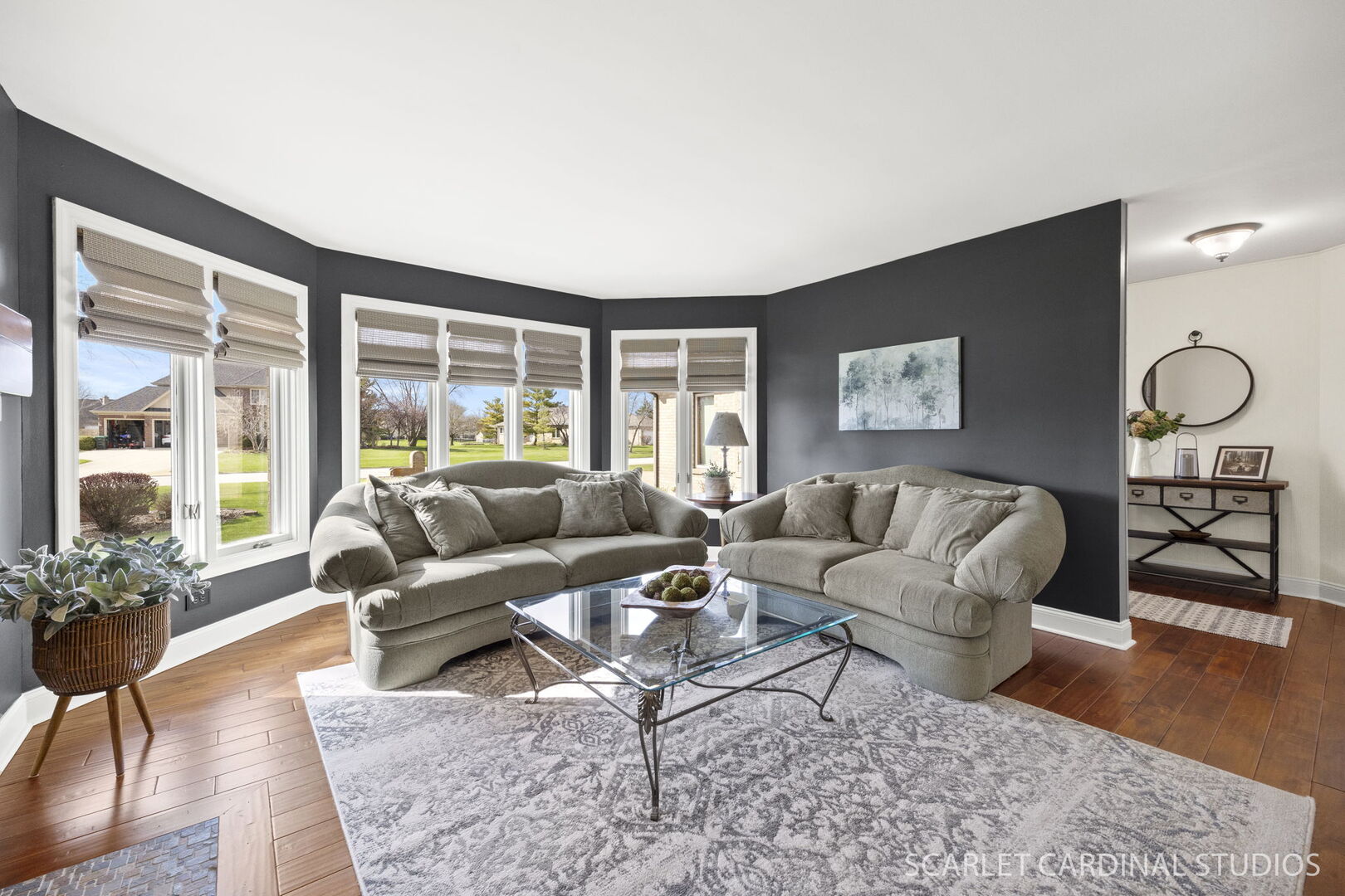 11545 S Kristi Drive, Plainfield, IL 60585