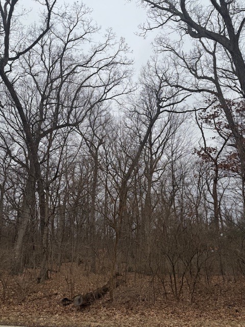 1833 Indian Trail, Kankakee, IL 60901