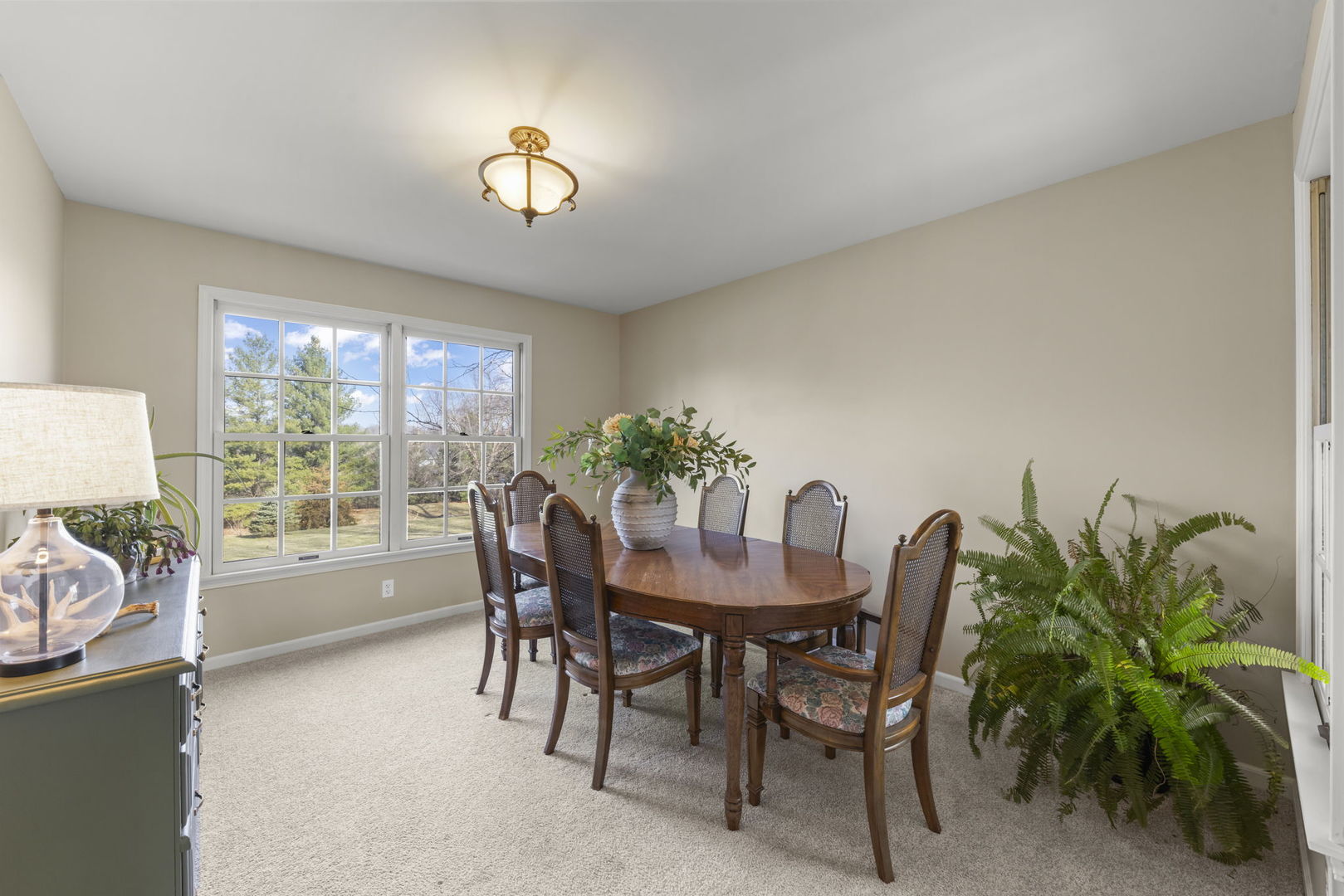 19 Shagbark Lane, Newark, IL 60541