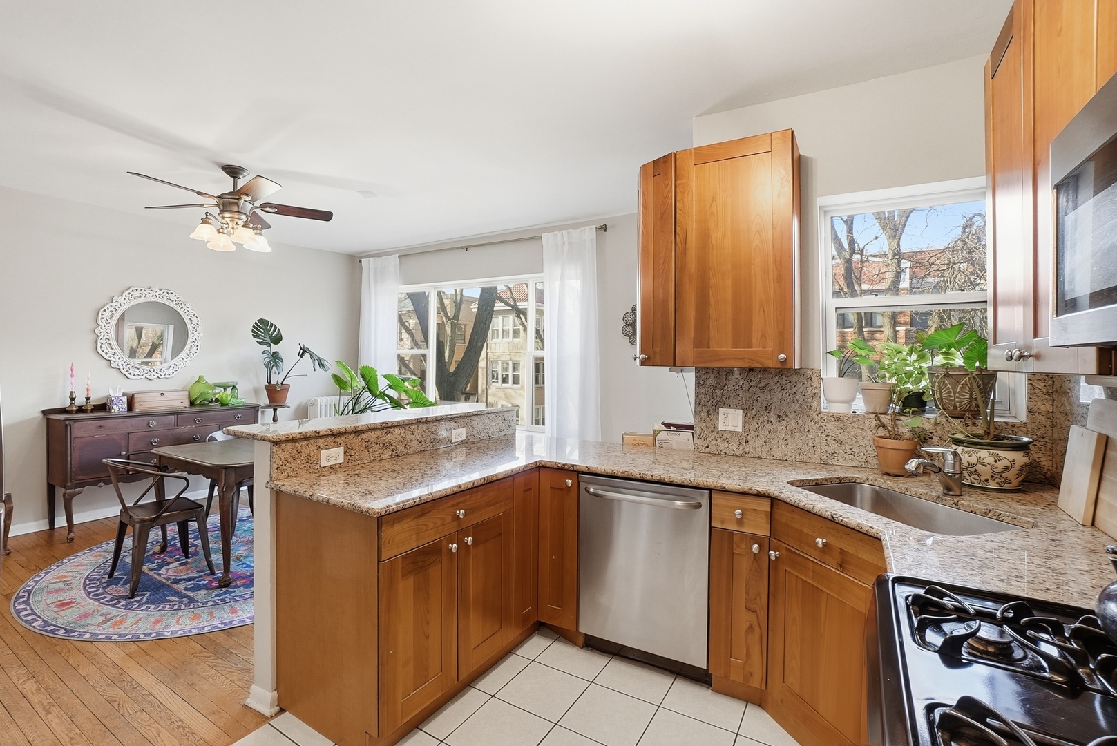 7657 N Greenview Avenue #2, Chicago, IL 60626