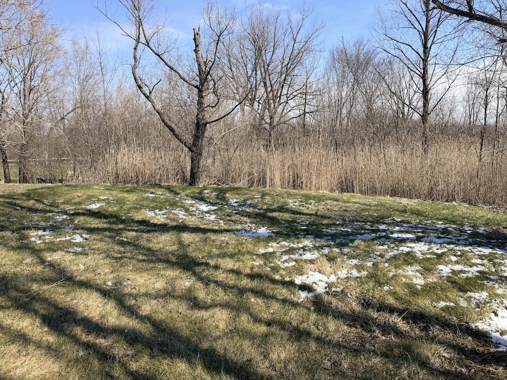 22503 S State Street, Steger, IL 60475