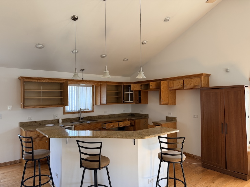 22503 S State Street, Steger, IL 60475