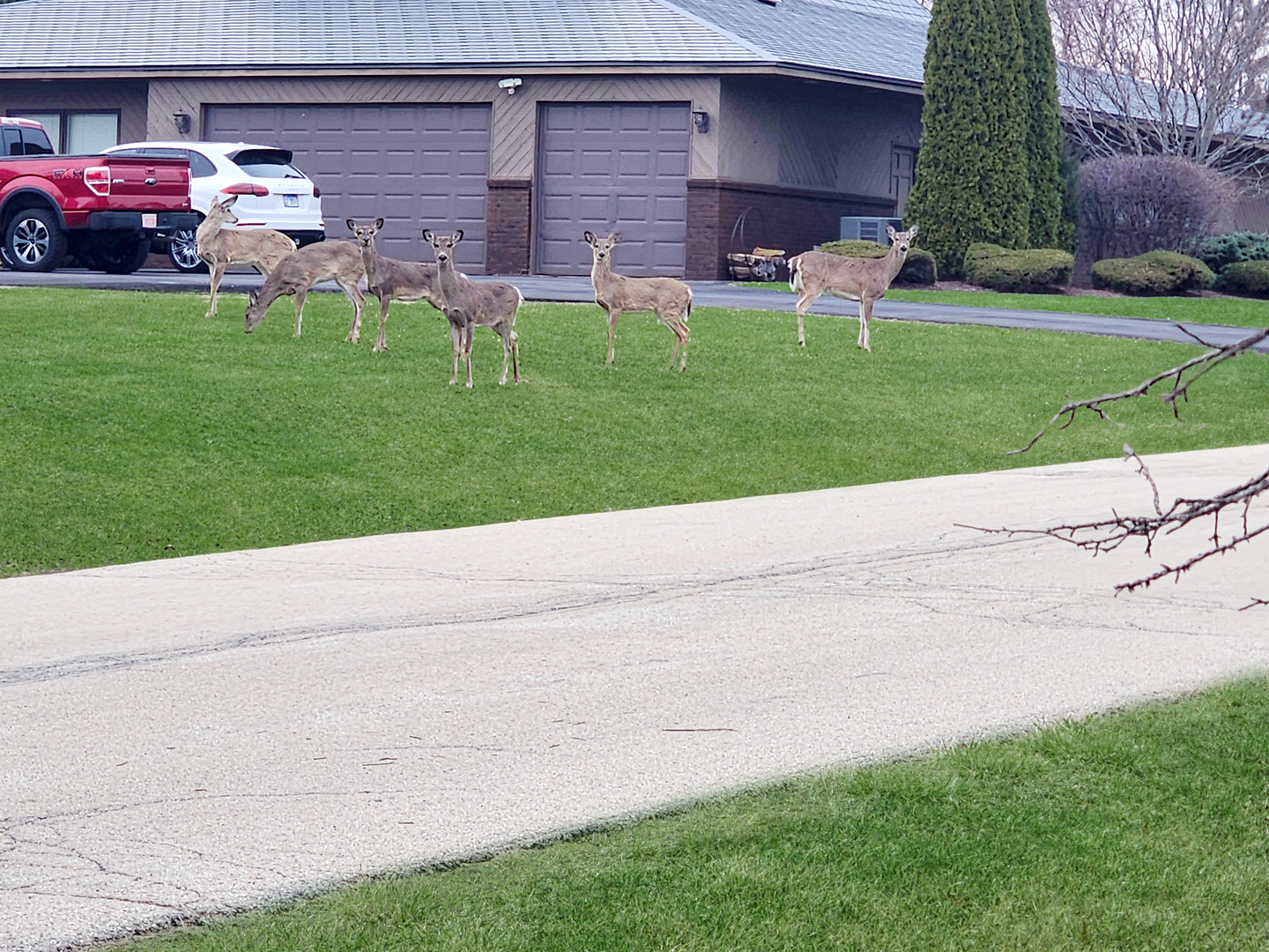 16212 Maramel Drive, Homer Glen, IL 60491