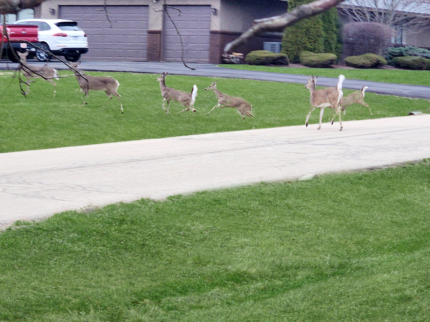 16212 Maramel Drive, Homer Glen, IL 60491