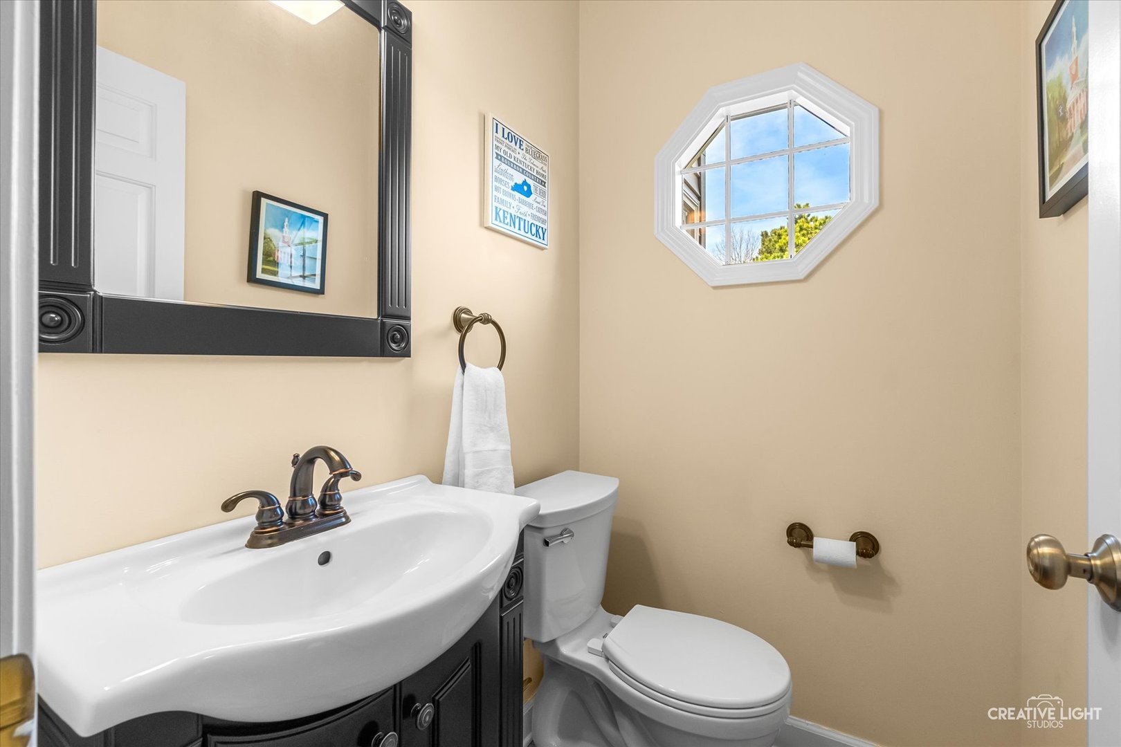 2631 Wild Timothy Road, Naperville, IL 60564