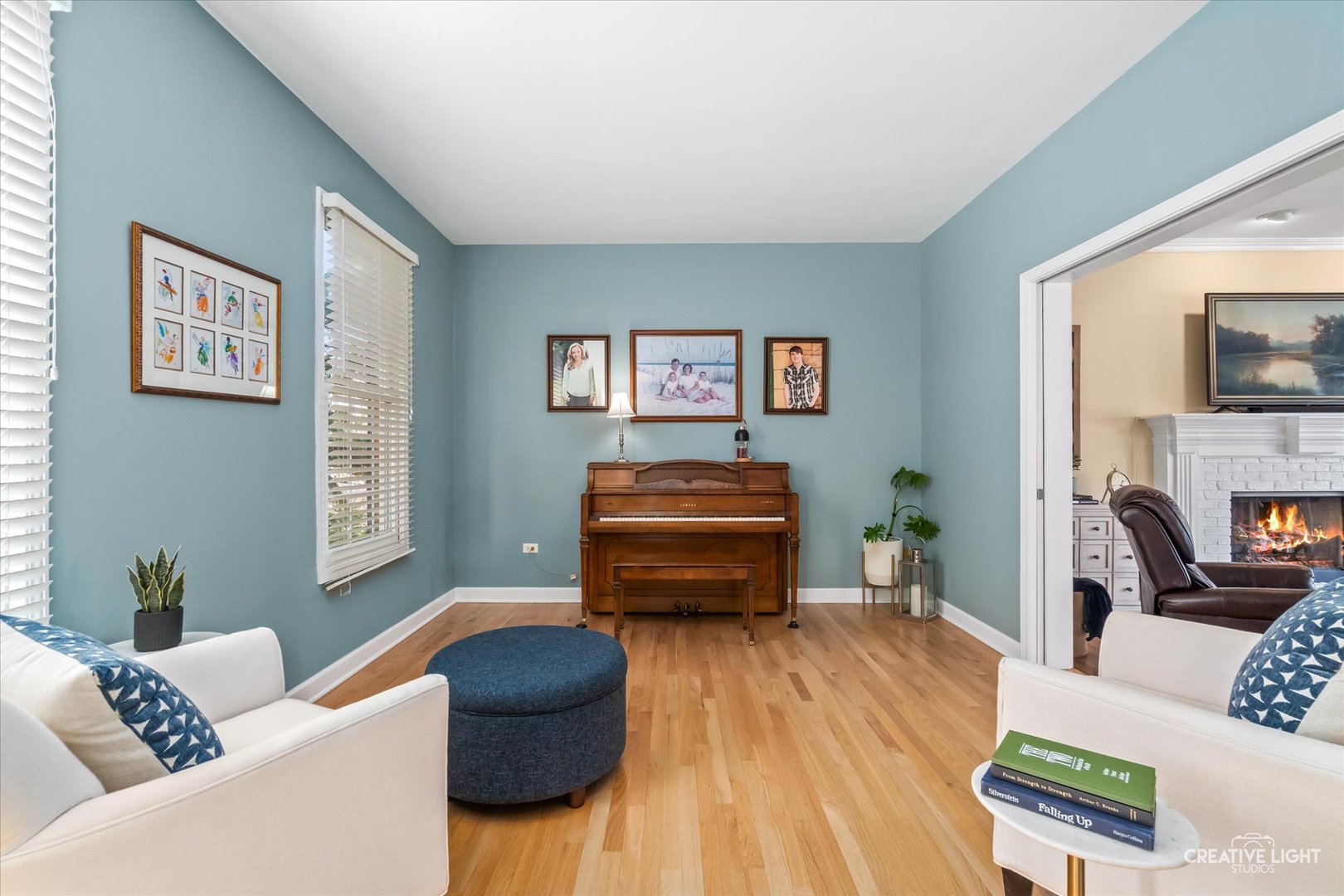 2631 Wild Timothy Road, Naperville, IL 60564